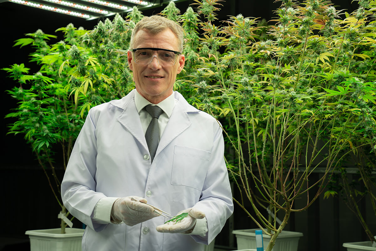 Welcome Brad Poulos : Our Cannabis Expert