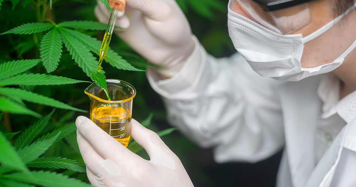 From Compliance to Efficiency: Solving Cannabis Business Challenges with D365OCS™