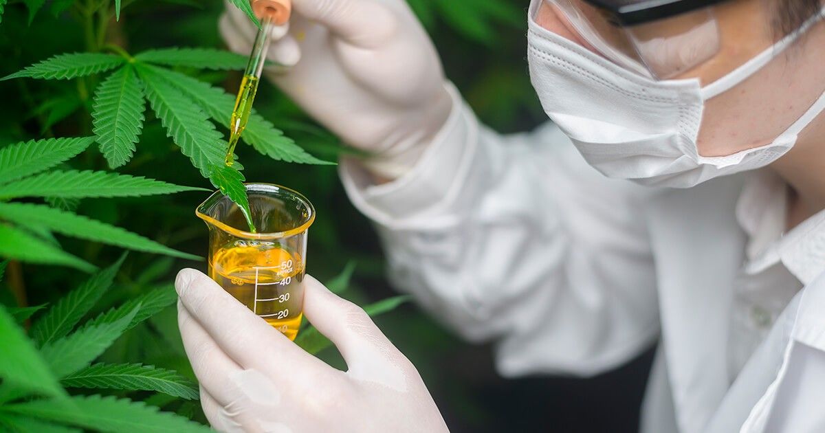 Solving Cannabis Business Challenges with D365OCS™